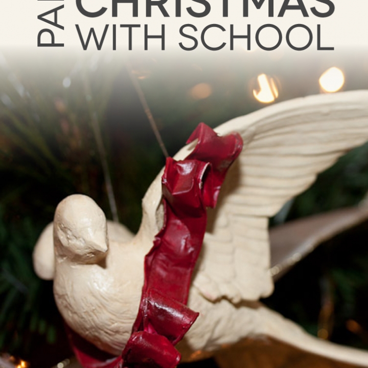 TheHomeSchoolMom Blog: Celebrating Christmas with School