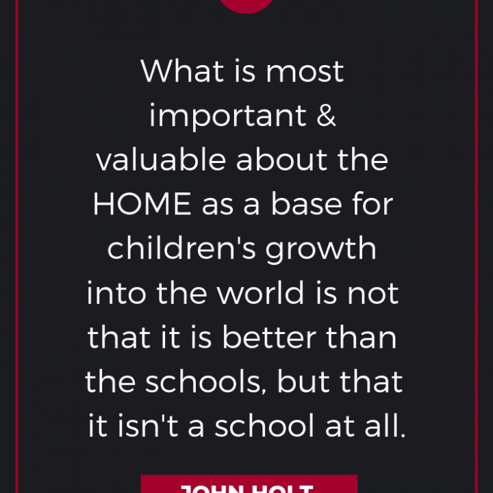 Text "What is most important and valuable about the HOME as a base for children's grown into the world is not that it is better than the schools, but that it isn't a school at all. John Holt" branded TheHomeSchoolMom