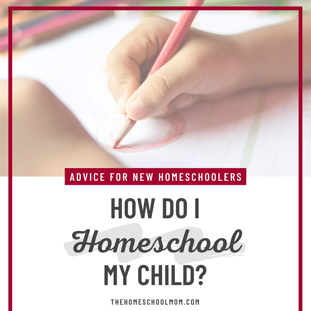 Homeschool Curriculum for 2 Year Olds: Advice from a Veteran Homeschooler -  Teaching Littles