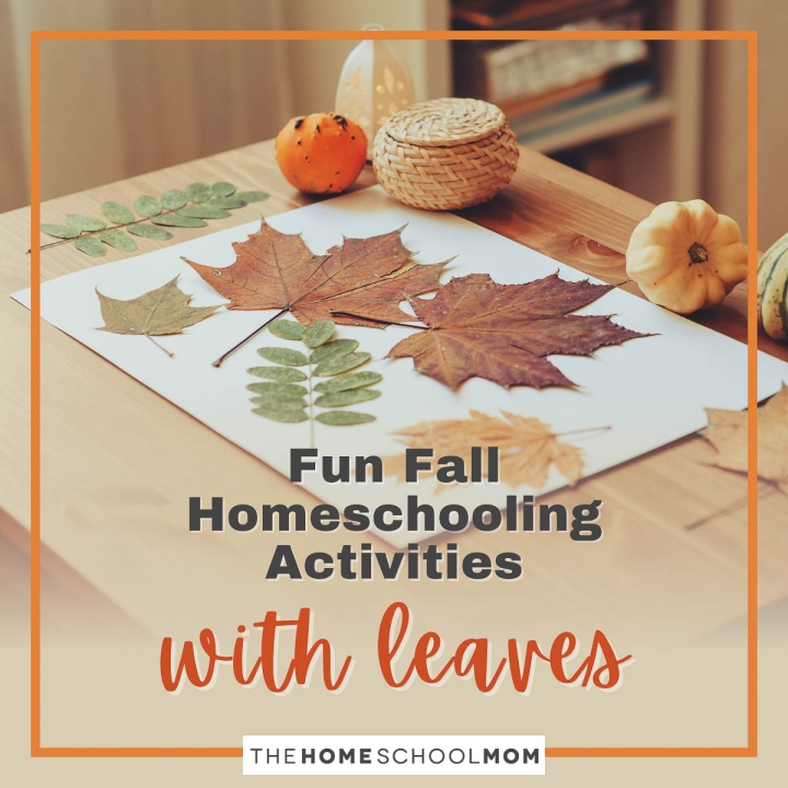 Fun Fall Homeschooling Activities With Leaves