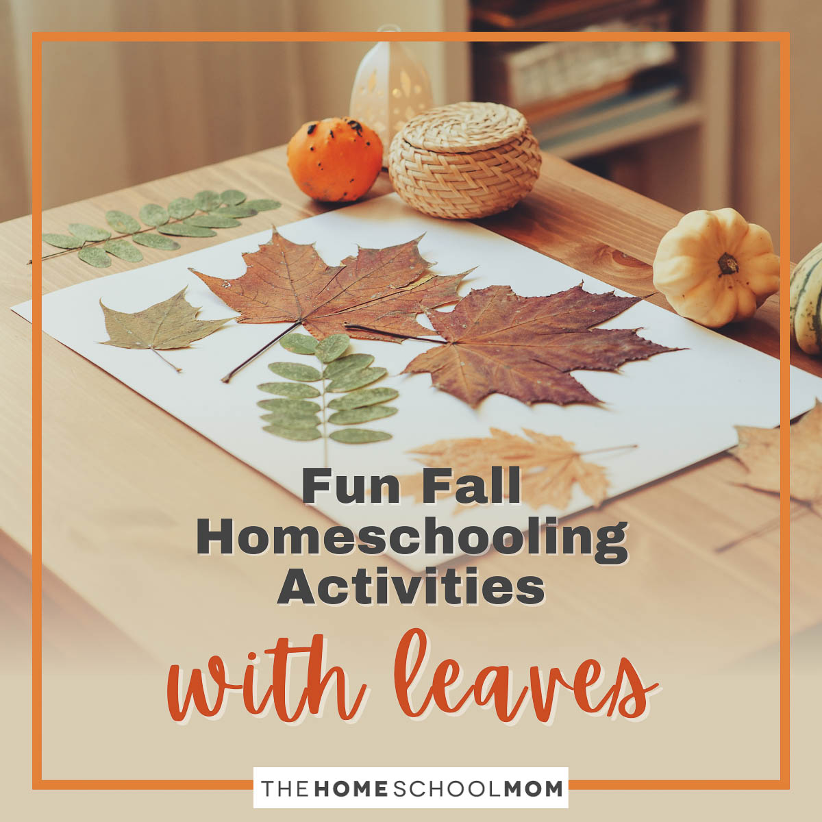 Homeschool Supplies & Organization - Confessions of a Homeschooler