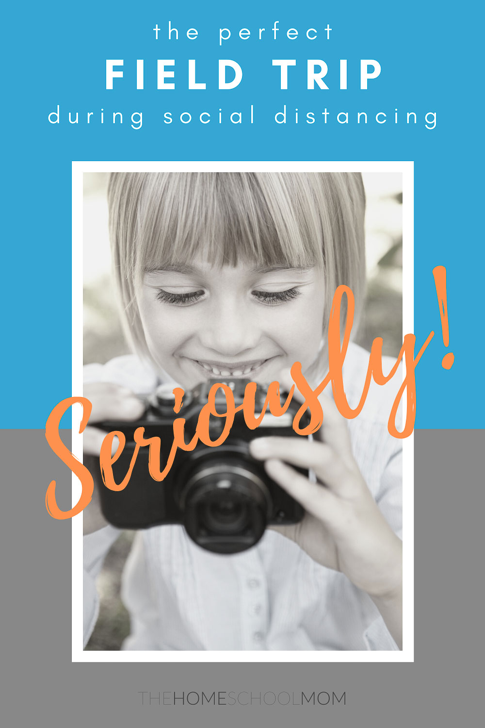 Homeschool Field Trips TheHomeSchoolMom