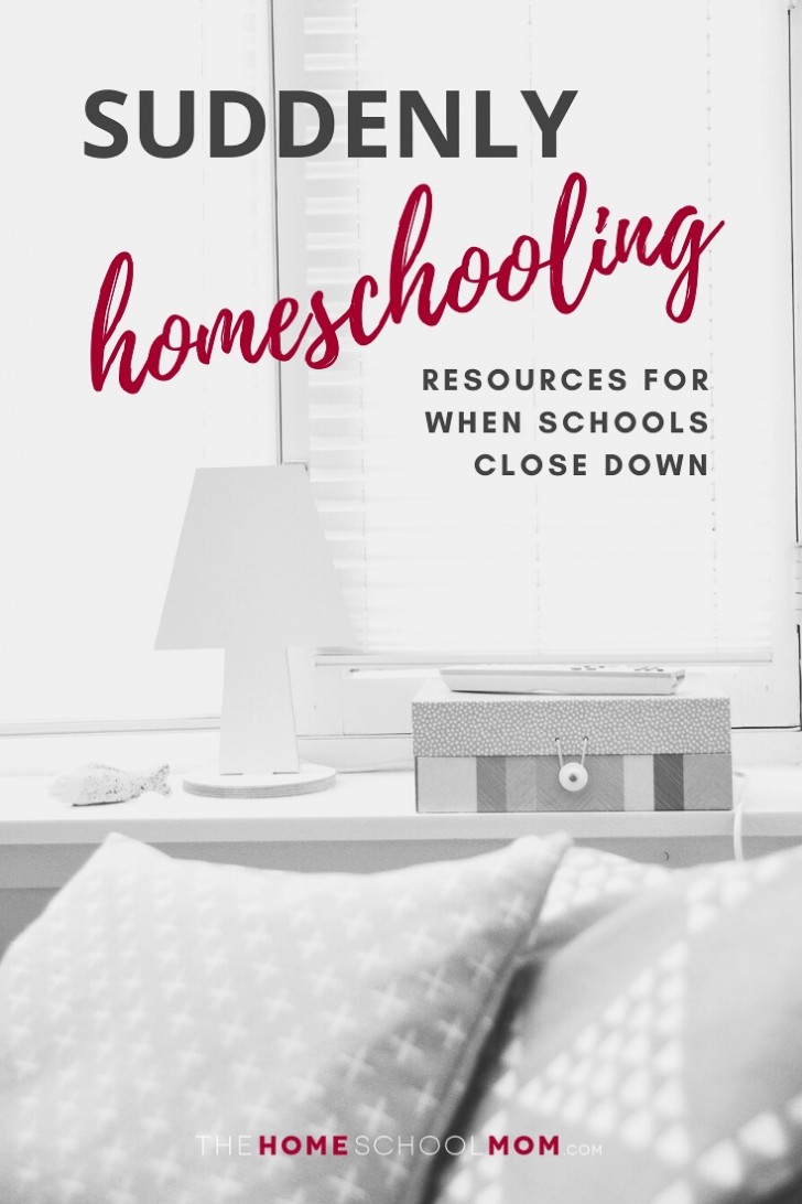 Image of sofa with pillows and a lamp on a table with text Suddenly Homeschooling: Resources for when schools close down - TheHomeSchoolMom.com