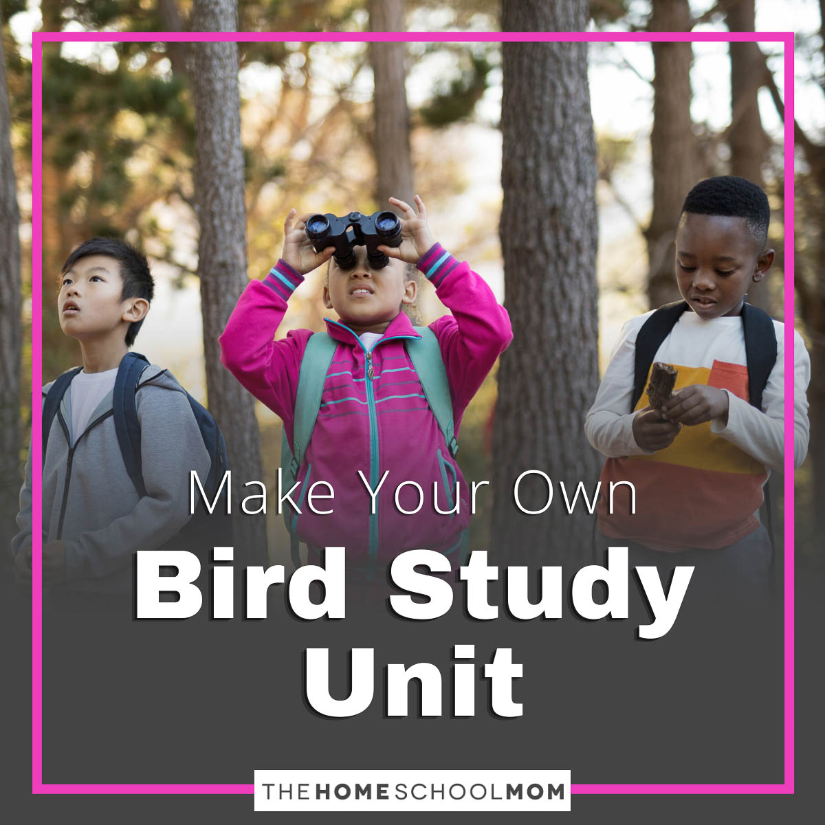 Make Your Own Bird Unit Study