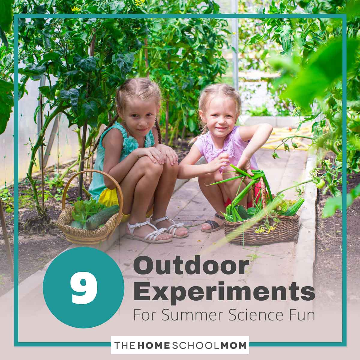 9 Outdoor Experiments for Summer Science Fun