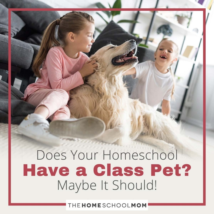 Does Your Homeschool Have a Class Pet? Maybe It Should!