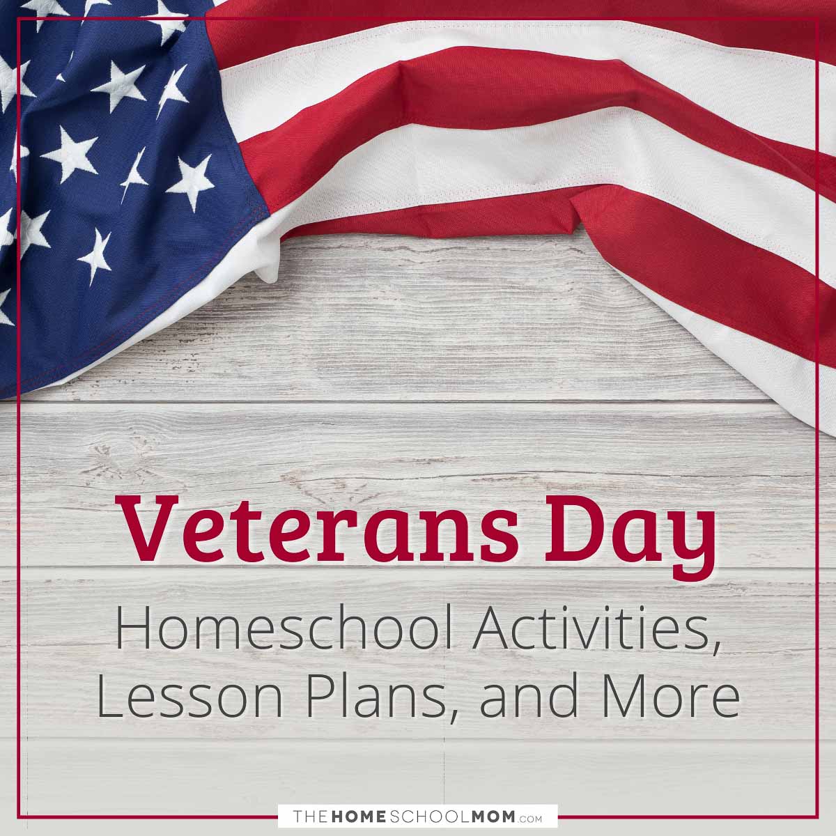 Veterans Day Homeschool Activities, Lesson Plans, and More.