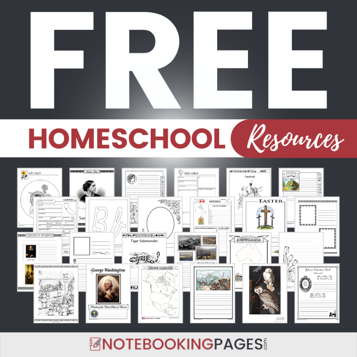 Free notebooking pages