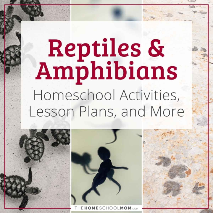 Reptiles & Amphibians Homeschool Activities, Lesson Plans, and More.