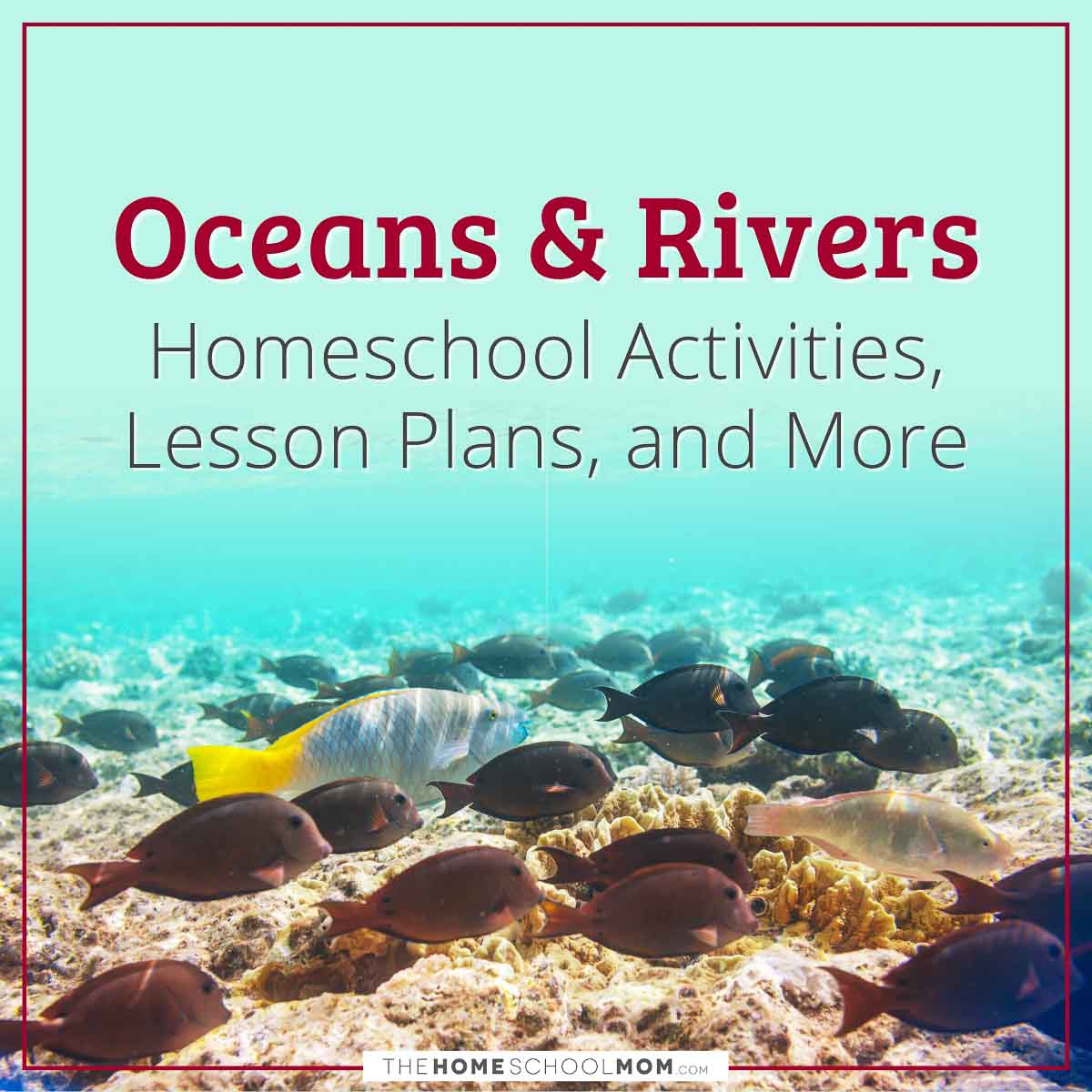 Oceans and Rivers Homeschool Activities, Lesson Plans, and More.
