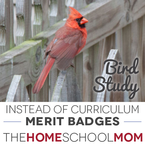 Instead of Curriculum: Unit Studies withBSA Merit Badges