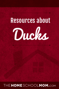 Resources about ducks
