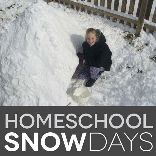 Do homeschoolers get snow days?