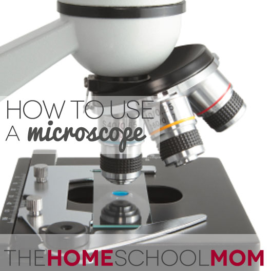 how-to-use-a-microscope-thehomeschoolmom-blog