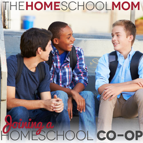 Waldorf Homeschooling - TheHomeSchoolMom