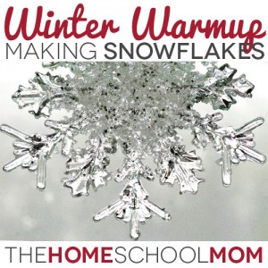 Winter Warmup: Making Snowflakes