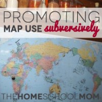 Promoting Map Use Subversively Promoting Map Use Subversively