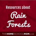 Rain Forests